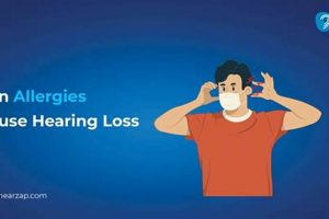 Allergies & Hearing: Can Allergies Cause Muffled Hearing? Best Mufflers for Cars & Trucks | Performance, Sound & Durability Upgrades Allergies & Hearing: Can Allergies Cause Muffled Hearing? | Best Mufflers for Cars & Trucks | Performance, Sound & Durability Upgrades