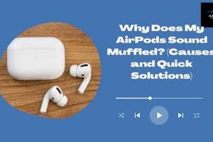 Fix: Why Do AirPods Sound Muffled? + Solutions Best Mufflers for Cars & Trucks | Performance, Sound & Durability Upgrades Fix: Why Do AirPods Sound Muffled? + Solutions | Best Mufflers for Cars & Trucks | Performance, Sound & Durability Upgrades