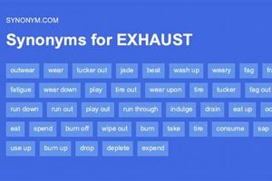 Beyond Muffler: Exhaust Silencer Synonyms Defined Best Mufflers for Cars & Trucks | Performance, Sound & Durability Upgrades Beyond Muffler: Exhaust Silencer Synonyms Defined | Best Mufflers for Cars & Trucks | Performance, Sound & Durability Upgrades