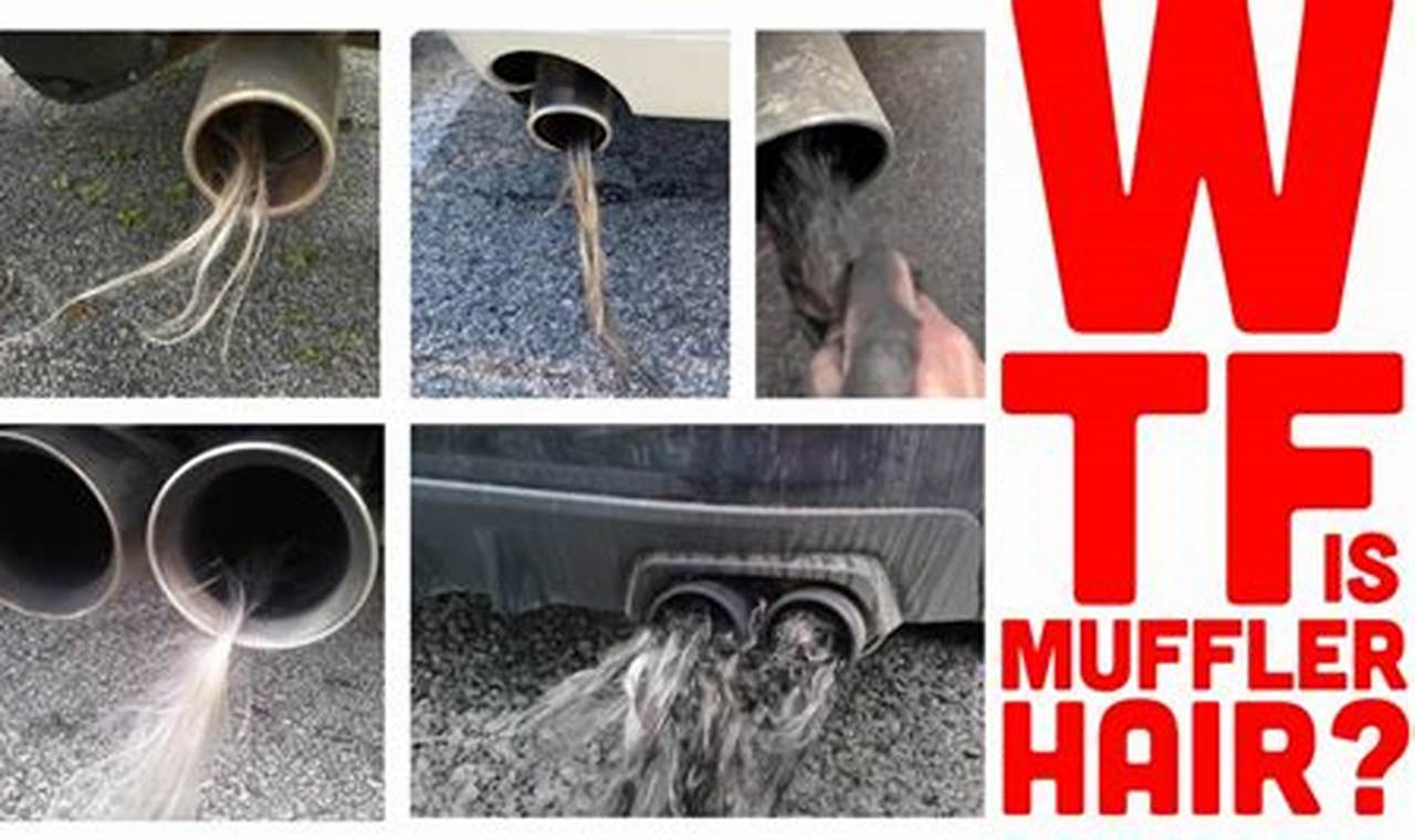 Muffler Hair: Inside Look + Tips & Care Best Mufflers for Cars & Trucks | Performance, Sound & Durability Upgrades Muffler Hair: Inside Look + Tips & Care | Best Mufflers for Cars & Trucks | Performance, Sound & Durability Upgrades