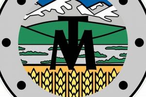 Tim's Muffler Shop: Expert Exhaust Repair & More! Best Mufflers for Cars & Trucks | Performance, Sound & Durability Upgrades Tim's Muffler Shop: Expert Exhaust Repair & More! | Best Mufflers for Cars & Trucks | Performance, Sound & Durability Upgrades