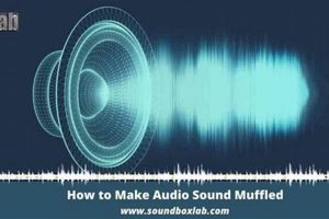 Fix That Audio Muffled Sound: Causes & Solutions Best Mufflers for Cars & Trucks | Performance, Sound & Durability Upgrades Fix That Audio Muffled Sound: Causes & Solutions | Best Mufflers for Cars & Trucks | Performance, Sound & Durability Upgrades