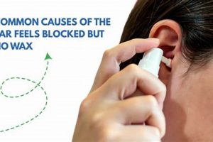 Why Ear Feels Muffled (But No Wax)? Causes & Relief | Best Mufflers for Cars & Trucks | Performance, Sound & Durability Upgrades