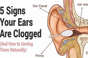 Help! My Ear Feels Clogged & Muffled? Relief Tips | Best Mufflers for Cars & Trucks | Performance, Sound & Durability Upgrades