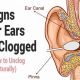 Help! My Ear Feels Clogged & Muffled? Relief Tips | Best Mufflers for Cars & Trucks | Performance, Sound & Durability Upgrades