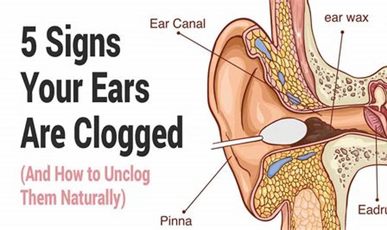 Help! My Ear Feels Clogged & Muffled? Relief Tips