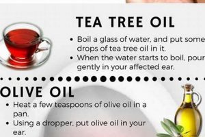 Quick Fix: How to Get Rid of a Muffled Ear Fast & Easy | Best Mufflers for Cars & Trucks | Performance, Sound & Durability Upgrades