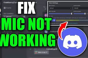 Fix: Mic Sounds Muffled on Discord (Quick Solutions) | Best Mufflers for Cars & Trucks | Performance, Sound & Durability Upgrades