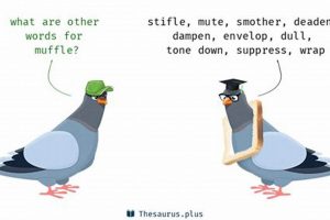 Unmuffled: Sound's Amplify - Muffle Antonyms Defined Best Mufflers for Cars & Trucks | Performance, Sound & Durability Upgrades Unmuffled: Sound's Amplify - Muffle Antonyms Defined | Best Mufflers for Cars & Trucks | Performance, Sound & Durability Upgrades