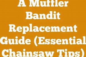 Stop Muffler Bandit Theft: Prevention &amp; Protection Tips | Best Mufflers for Cars & Trucks | Performance, Sound & Durability Upgrades