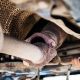 Fix a Noisy Leaky Muffler: Symptoms & Repair Guide | Best Mufflers for Cars & Trucks | Performance, Sound & Durability Upgrades