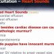 Why Heart Sounds Muffled? Causes & What To Do | Best Mufflers for Cars & Trucks | Performance, Sound & Durability Upgrades