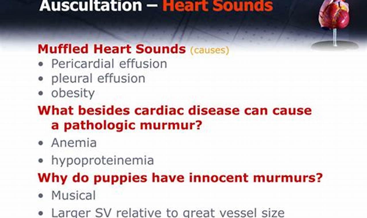 Why Heart Sounds Muffled? Causes & What To Do | Best Mufflers for Cars & Trucks | Performance, Sound & Durability Upgrades
