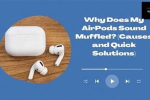 Fix: Why Do My AirPods Sound Muffled on PC? + Clear Audio Best Mufflers for Cars & Trucks | Performance, Sound & Durability Upgrades Fix: Why Do My AirPods Sound Muffled on PC? + Clear Audio | Best Mufflers for Cars & Trucks | Performance, Sound & Durability Upgrades
