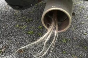 Understanding Muffler Hair Exhaust: Causes & Cures | Best Mufflers for Cars & Trucks | Performance, Sound & Durability Upgrades