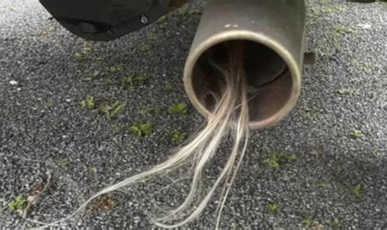 Understanding Muffler Hair Exhaust: Causes & Cures | Best Mufflers for Cars & Trucks | Performance, Sound & Durability Upgrades