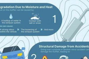 Muffler Symptoms: Early Signs & Solutions | Best Mufflers for Cars & Trucks | Performance, Sound & Durability Upgrades