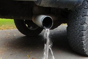 Why Muffler Fiberglass Coming Out? + Fixes! | Best Mufflers for Cars & Trucks | Performance, Sound & Durability Upgrades