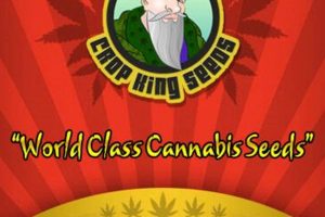 Solve Dirty Muffler Strain: Causes & Solutions Best Mufflers for Cars & Trucks | Performance, Sound & Durability Upgrades Solve Dirty Muffler Strain: Causes & Solutions | Best Mufflers for Cars & Trucks | Performance, Sound & Durability Upgrades