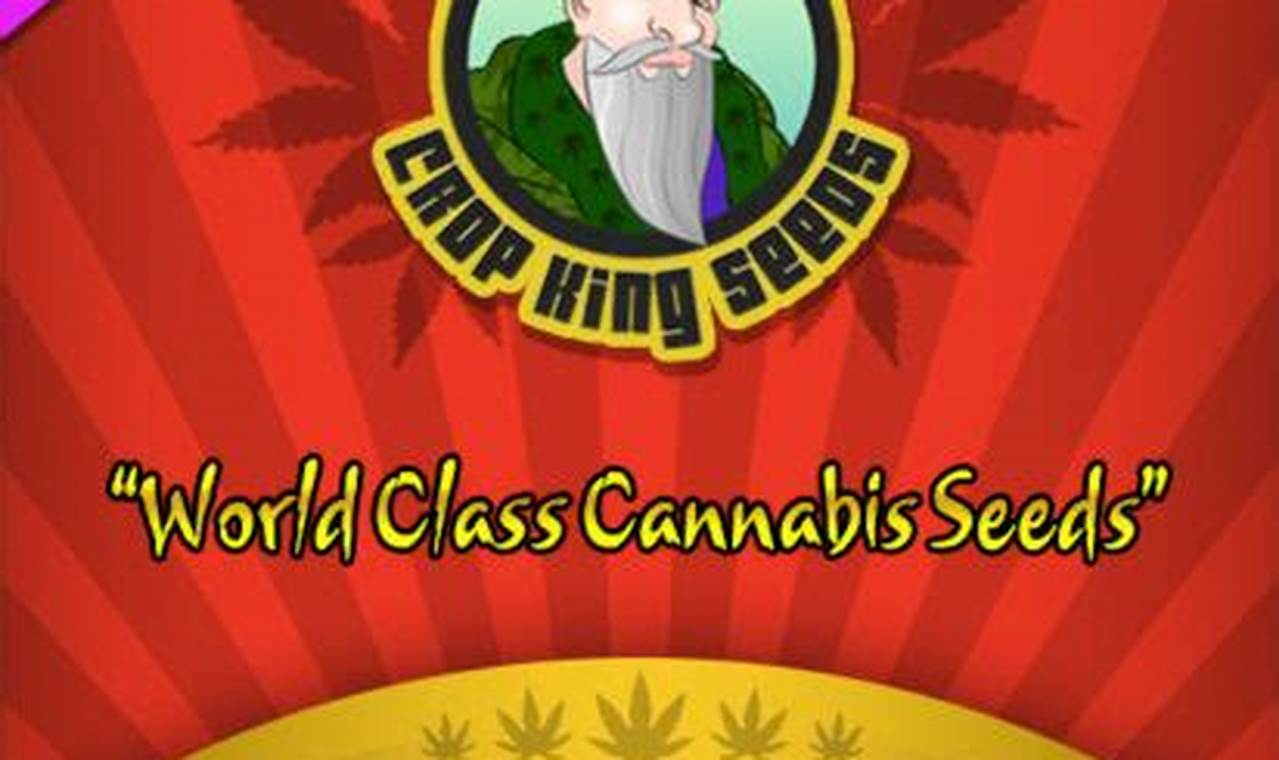 Solve Dirty Muffler Strain: Causes & Solutions | Best Mufflers for Cars & Trucks | Performance, Sound & Durability Upgrades