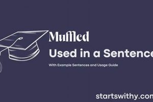 Using Muffled in a Sentence: Examples & Meaning Best Mufflers for Cars & Trucks | Performance, Sound & Durability Upgrades Using Muffled in a Sentence: Examples & Meaning | Best Mufflers for Cars & Trucks | Performance, Sound & Durability Upgrades