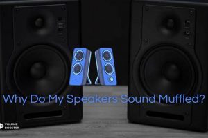 Speaker Sound Muffled? Fix the Muddy Audio Now! | Best Mufflers for Cars & Trucks | Performance, Sound & Durability Upgrades