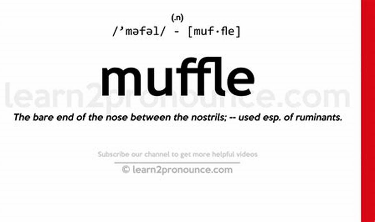 What is Muffle? Define Soundproofing &amp; More | Best Mufflers for Cars & Trucks | Performance, Sound & Durability Upgrades