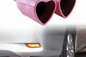 Bovine "Muffler Heart": Causes & Prevention Tips | Best Mufflers for Cars & Trucks | Performance, Sound & Durability Upgrades