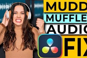 How to Clean Up Muffled Audio: Tips & Software | Best Mufflers for Cars & Trucks | Performance, Sound & Durability Upgrades
