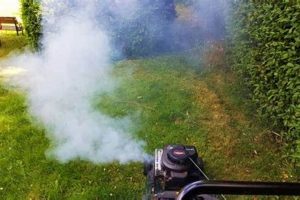 Why is My Lawn Mower Blowing White Smoke From Muffler? [Fix] | Best Mufflers for Cars & Trucks | Performance, Sound & Durability Upgrades