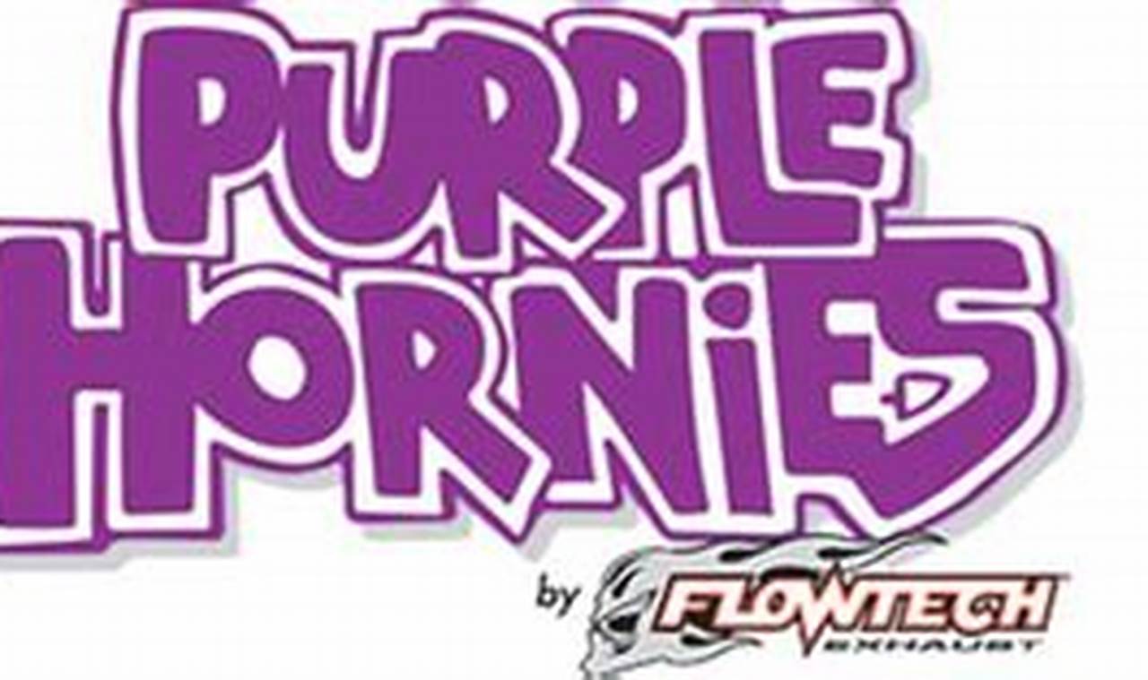 Unleash the Beast: Purple Hornies Muffler Sound Explained! | Best Mufflers for Cars & Trucks | Performance, Sound & Durability Upgrades