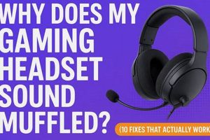Fix: Headset Sounds Muffled? Easy Solutions & Causes Best Mufflers for Cars & Trucks | Performance, Sound & Durability Upgrades Fix: Headset Sounds Muffled? Easy Solutions & Causes | Best Mufflers for Cars & Trucks | Performance, Sound & Durability Upgrades
