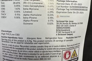 Dirty Muffler Strain Effects: Causes &amp; Prevention | Best Mufflers for Cars & Trucks | Performance, Sound & Durability Upgrades