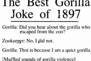 Decoding Muffled Gorilla Sounds: Violence in the Jungle Best Mufflers for Cars & Trucks | Performance, Sound & Durability Upgrades Decoding Muffled Gorilla Sounds: Violence in the Jungle | Best Mufflers for Cars & Trucks | Performance, Sound & Durability Upgrades