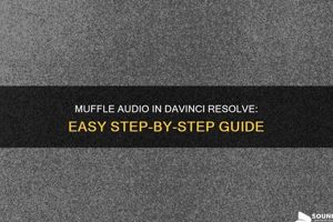 How to Muffle Audio in DaVinci Resolve: Step-by-Step Best Mufflers for Cars & Trucks | Performance, Sound & Durability Upgrades How to Muffle Audio in DaVinci Resolve: Step-by-Step | Best Mufflers for Cars & Trucks | Performance, Sound & Durability Upgrades