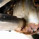 Is Your Rusty Muffler Killing Performance? [Fixes] | Best Mufflers for Cars & Trucks | Performance, Sound & Durability Upgrades