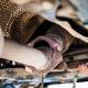 Muffler Repair: How to Fix a Muffler Leak (Quick Guide) | Best Mufflers for Cars & Trucks | Performance, Sound & Durability Upgrades