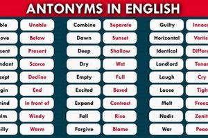 Beyond Muffled: Clear Antonyms & Sound Clarity Secrets | Best Mufflers for Cars & Trucks | Performance, Sound & Durability Upgrades