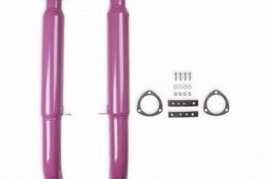 Unleash Roar: Purple Hornies Muffler Performance Upgrade! | Best Mufflers for Cars & Trucks | Performance, Sound & Durability Upgrades