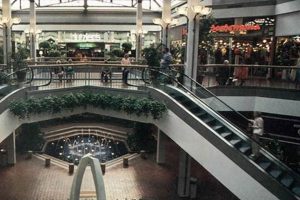 Reliable White Marsh Muffler & Brakes | Expert Service | Best Mufflers for Cars & Trucks | Performance, Sound & Durability Upgrades