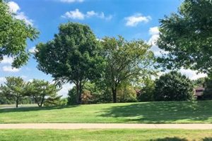 Annaville Muffler: Quiet Performance, Long Life + | Best Mufflers for Cars & Trucks | Performance, Sound & Durability Upgrades