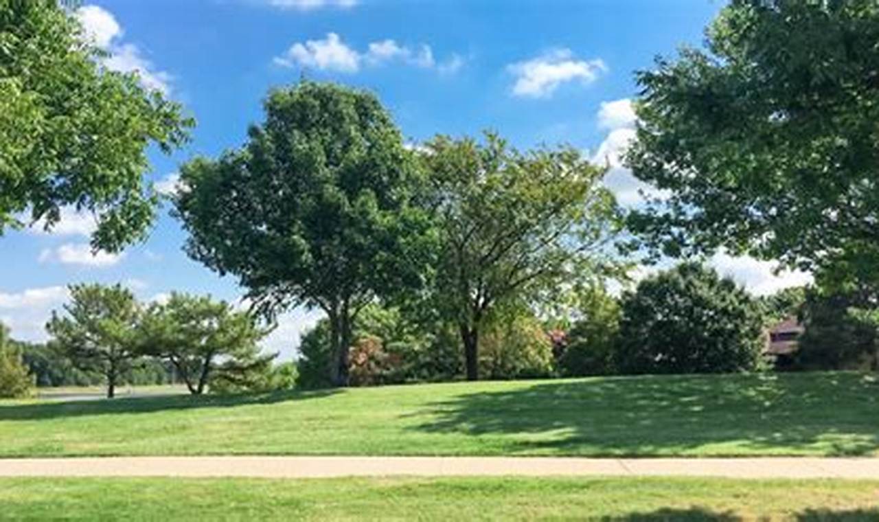 Annaville Muffler: Quiet Performance, Long Life + | Best Mufflers for Cars & Trucks | Performance, Sound & Durability Upgrades