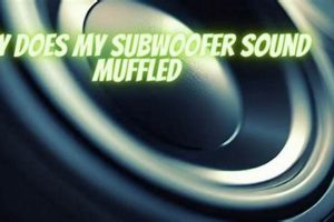 Fixing a Muffled Subwoofer: Clear Sound, No More Mud | Best Mufflers for Cars & Trucks | Performance, Sound & Durability Upgrades