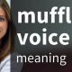 Synonyms for Muffled: Sound Clearer! | Best Mufflers for Cars & Trucks | Performance, Sound & Durability Upgrades