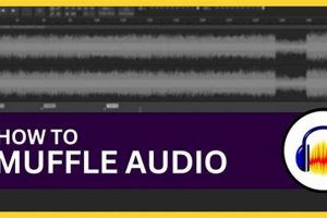 Audacity Audio: How to Muffle Sound [Easy Steps] | Best Mufflers for Cars & Trucks | Performance, Sound & Durability Upgrades