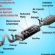 Catalytic Converter vs. Muffler: Are They Connected? | Best Mufflers for Cars & Trucks | Performance, Sound & Durability Upgrades