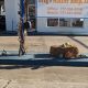 Muffler Shop Loveland CO: Expert Exhaust Repair Near You | Best Mufflers for Cars & Trucks | Performance, Sound & Durability Upgrades