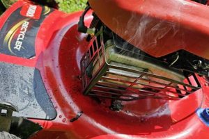 Why is Lawn Mower Oil Coming Out of Muffler? [Solved] | Best Mufflers for Cars & Trucks | Performance, Sound & Durability Upgrades