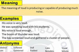 Unmuffled Sounds: Antonyms of Muffled Audio Explored | Best Mufflers for Cars & Trucks | Performance, Sound & Durability Upgrades