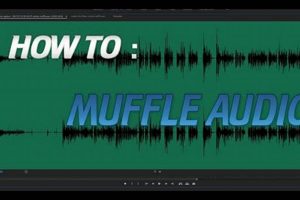 Learn How to Muffle Audio in Premiere (Easy Guide) Best Mufflers for Cars & Trucks | Performance, Sound & Durability Upgrades Learn How to Muffle Audio in Premiere (Easy Guide) | Best Mufflers for Cars & Trucks | Performance, Sound & Durability Upgrades